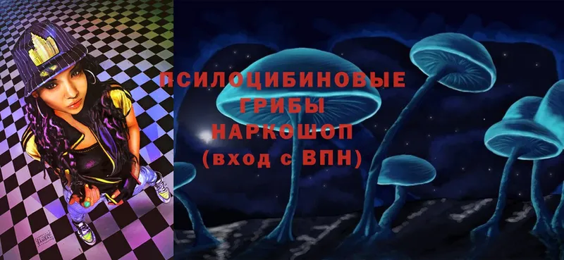 Галлюциногенные грибы Magic Shrooms  Бийск 