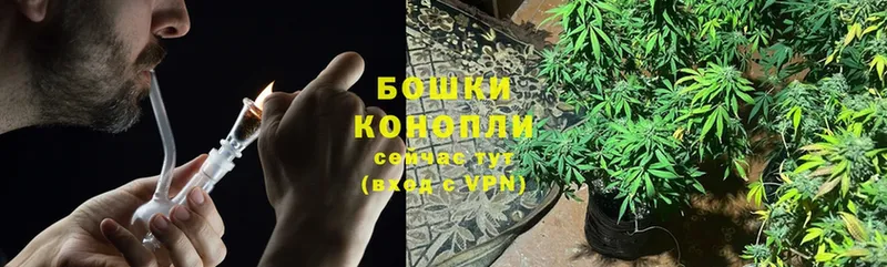 гидра зеркало  Бийск  Бошки марихуана THC 21%  как найти наркотики 